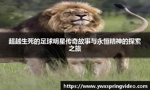 超越生死的足球明星传奇故事与永恒精神的探索之旅